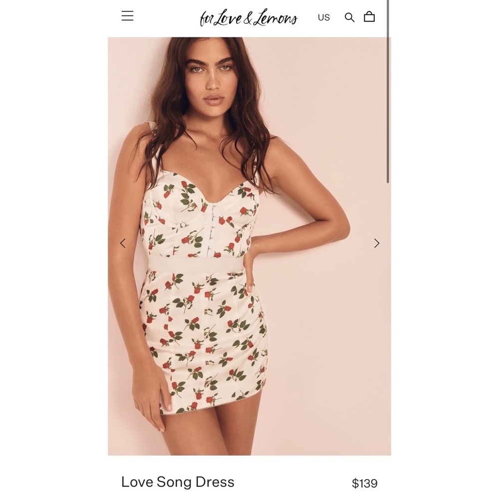 For love & lemons - Love song dress